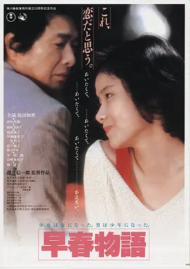 红毯先生